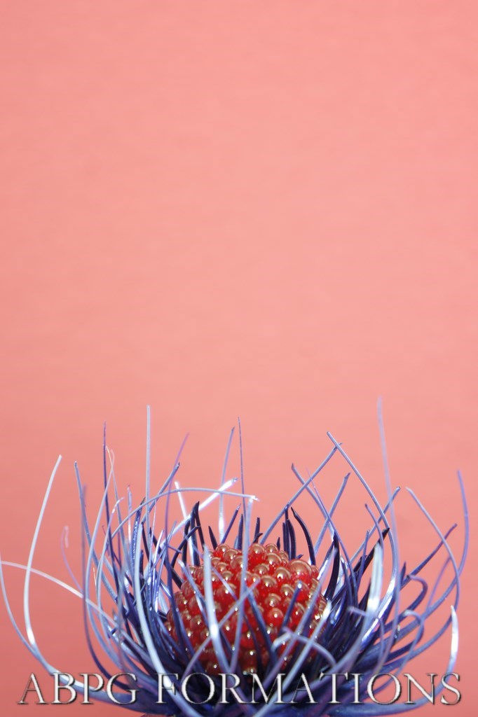 cours sucre tiré abpg formations