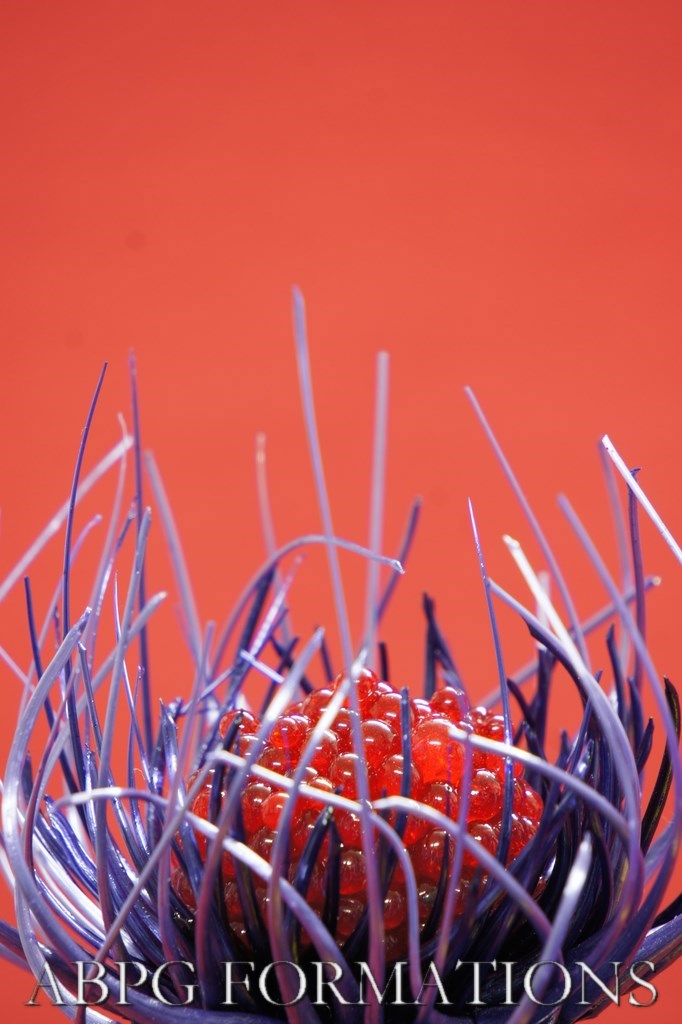 abpg formations abpg formations
