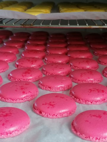 formation macarons