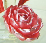 Formation sucre tiré